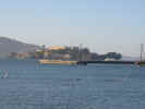 alcatraz and swimmers.jpg (81500 bytes)